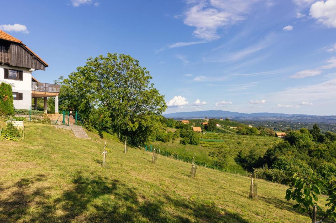 Cosy Hill Home Rucman With A Breathtaking View Zgornja Pohanca Екстер'єр фото